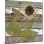 Wood Mount