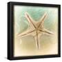 Essential Black