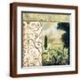 Brown Frame