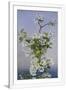 Gramercy White