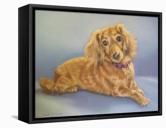 Sophie, Blue Background-Janet Pidoux-Framed Stretched Canvas