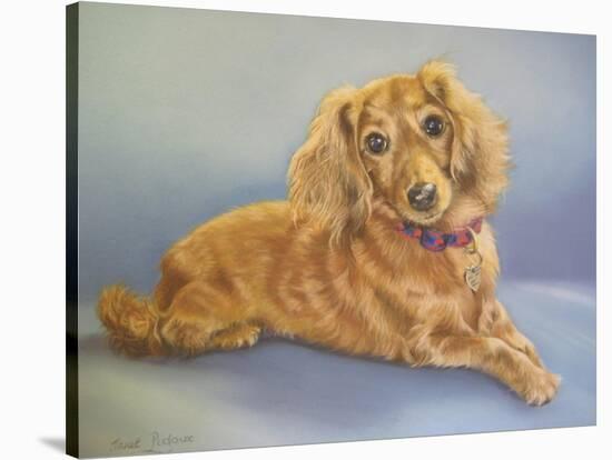 Sophie, Blue Background-Janet Pidoux-Stretched Canvas