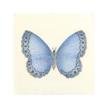 Butterfly IV-Sophie Golaz-Premium Giclee Print
