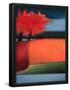 Essential Black