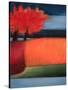 Stretched Canvas