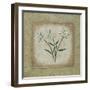 Sophistica I-Herb Dickinson-Framed Photographic Print