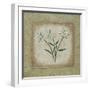 Sophistica I-Herb Dickinson-Framed Photographic Print