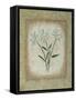 Sophistica II-Herb Dickinson-Framed Stretched Canvas
