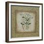 Sophistica II-Herb Dickinson-Framed Photographic Print