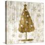 Sophisticated Christmas I-Grace Popp-Stretched Canvas