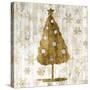 Sophisticated Christmas I-Grace Popp-Stretched Canvas