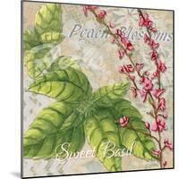 Sophisticated Elegant Herbs Spices Basil Peach-Megan Aroon Duncanson-Mounted Art Print