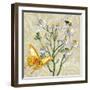 Sophisticated Elegant Herbs Spices Chamomile Daisy-Megan Aroon Duncanson-Framed Art Print