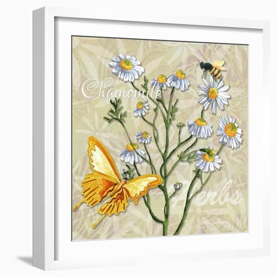 Sophisticated Elegant Herbs Spices Chamomile Daisy-Megan Aroon Duncanson-Framed Art Print