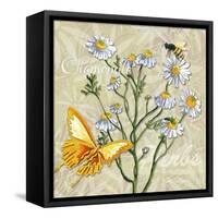 Sophisticated Elegant Herbs Spices Chamomile Daisy-Megan Aroon Duncanson-Framed Stretched Canvas