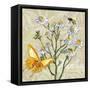 Sophisticated Elegant Herbs Spices Chamomile Daisy-Megan Aroon Duncanson-Framed Stretched Canvas