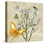 Sophisticated Elegant Herbs Spices Chamomile Daisy-Megan Aroon Duncanson-Stretched Canvas