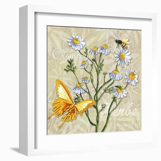 Sophisticated Elegant Herbs Spices Chamomile Daisy-Megan Aroon Duncanson-Framed Art Print