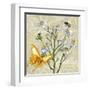 Sophisticated Elegant Herbs Spices Chamomile Daisy-Megan Aroon Duncanson-Framed Art Print