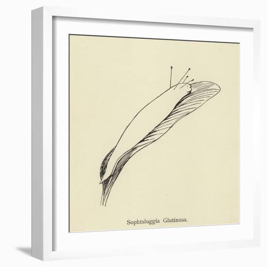 Sophtsluggia Glutinosa-Edward Lear-Framed Giclee Print