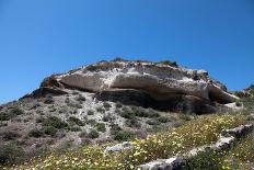 Grassland on Santorini Island-sophysweden-Photographic Print