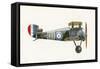 Sopwith 7F 1 Snipe-English School-Framed Stretched Canvas