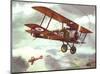 Sopwith Camel, 1917-Alfred Owles-Mounted Art Print