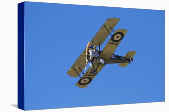 Sopwith Camel, WWI Fighter Plane, War Plane-David Wall-Stretched Canvas