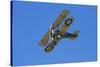 Sopwith Camel, WWI Fighter Plane, War Plane-David Wall-Stretched Canvas