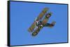 Sopwith Camel, WWI Fighter Plane, War Plane-David Wall-Framed Stretched Canvas