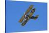 Sopwith Camel, WWI Fighter Plane, War Plane-David Wall-Stretched Canvas