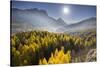 Sorapiss, Larches, Sun, Cortina D'Ampezzo, Veneto, the Dolomites, Italy-Rainer Mirau-Stretched Canvas