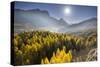 Sorapiss, Larches, Sun, Cortina D'Ampezzo, Veneto, the Dolomites, Italy-Rainer Mirau-Stretched Canvas