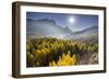 Sorapiss, Larches, Sun, Cortina D'Ampezzo, Veneto, the Dolomites, Italy-Rainer Mirau-Framed Photographic Print