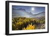 Sorapiss, Larches, Sun, Cortina D'Ampezzo, Veneto, the Dolomites, Italy-Rainer Mirau-Framed Photographic Print