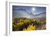 Sorapiss, Larches, Sun, Cortina D'Ampezzo, Veneto, the Dolomites, Italy-Rainer Mirau-Framed Photographic Print