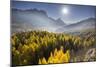 Sorapiss, Larches, Sun, Cortina D'Ampezzo, Veneto, the Dolomites, Italy-Rainer Mirau-Mounted Photographic Print