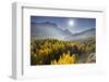 Sorapiss, Larches, Sun, Cortina D'Ampezzo, Veneto, the Dolomites, Italy-Rainer Mirau-Framed Photographic Print