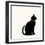 Black Frame