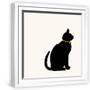 White Frame