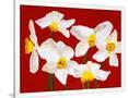Gramercy White