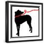 Black Frame