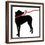Brown Frame