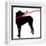 White Frame