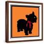 Brown Frame