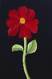 Red Cosmos-Soraya Chemaly-Giclee Print