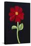 Canvas Black