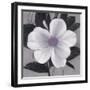 Sorbet Bloom 1-Ivo Stoyanov-Framed Art Print