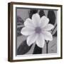 Sorbet Bloom 2-Ivo Stoyanov-Framed Art Print