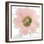 Sorbet Elegance-Sandra Jacobs-Framed Giclee Print